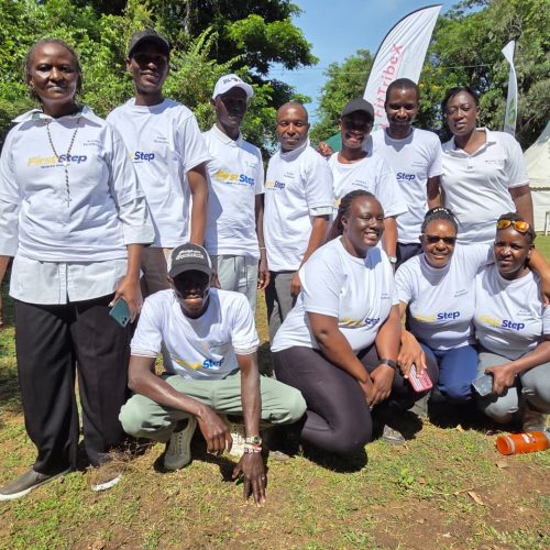 Diabetes Walk and Wellness Festival