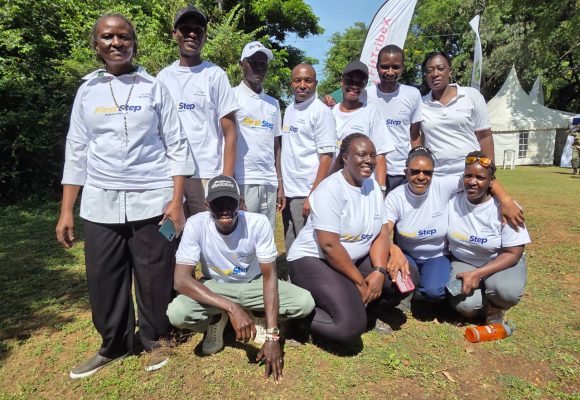 Diabetes Walk and Wellness Festival