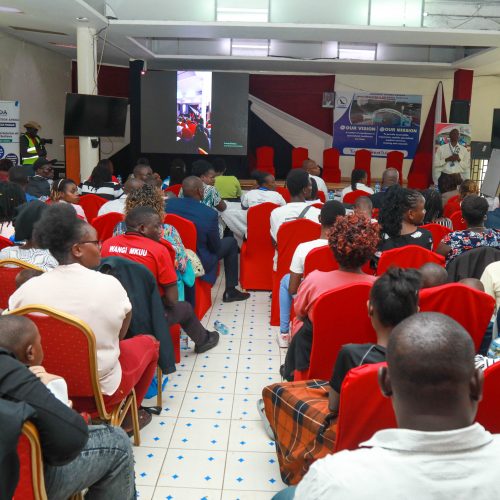 Advancing Long-Term Care for Sickle Cell Warriors