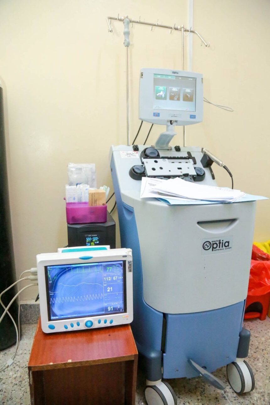 Bridging the Sickle Cell Survival Gap